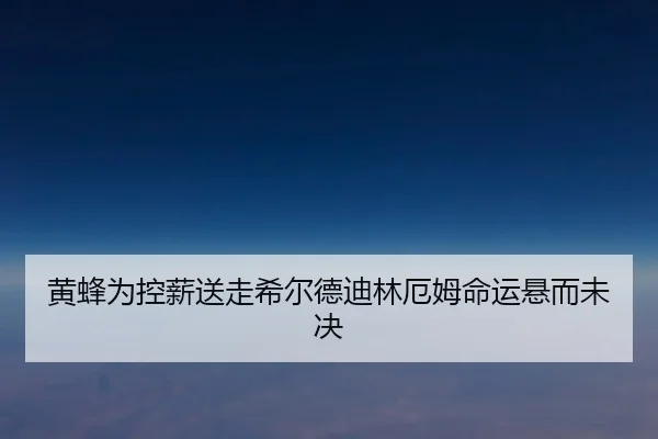 黄蜂为控薪送走希尔德迪林厄姆命运悬而未决